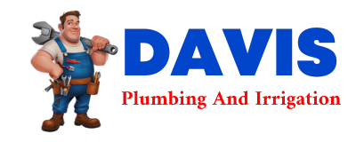 Trusted plumber in REGENT